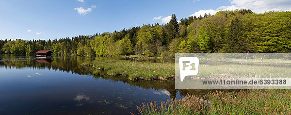 Hackensee bei Dietramszell  Tölzer Land  Oberbayern  Bayern  Deutschland  Europa