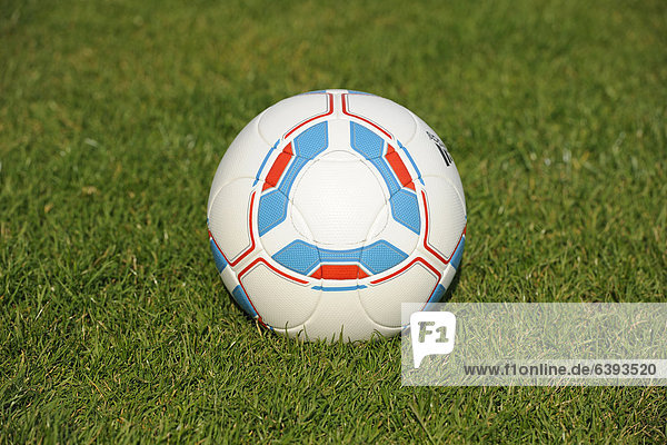 Offizieller Spielball der Fußball-Bundesliga auf Rasen