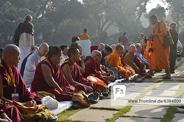 Tradition Besuch Treffen trifft fünfstöckig Buddhismus Lama Lama buanicoe glama Mönch Delhi Hauptstadt Asien Indien Gebet