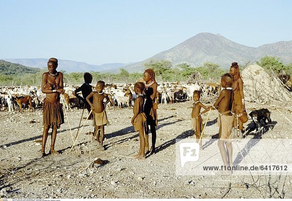 Einheimische Himba Stammesmitglieder traditioneller Kleidungbei einer Viehherde in Namibia