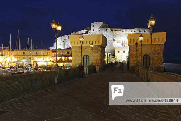 Italy  Campania  Naples  Castel Dell'Ovo at night