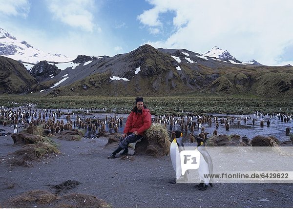 Eine Touristin beobachtet Königspinguine in Südgeorgien