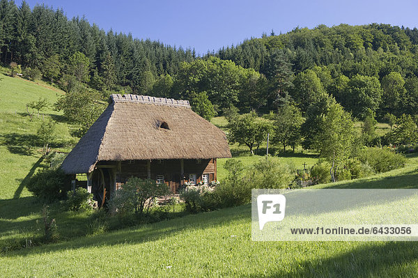 Strohgedeckte Mühle mit Bauerngarten  Oberprechtal bei Elzach  Schwarzwald  Baden-Württemberg  Deutschland  Europa