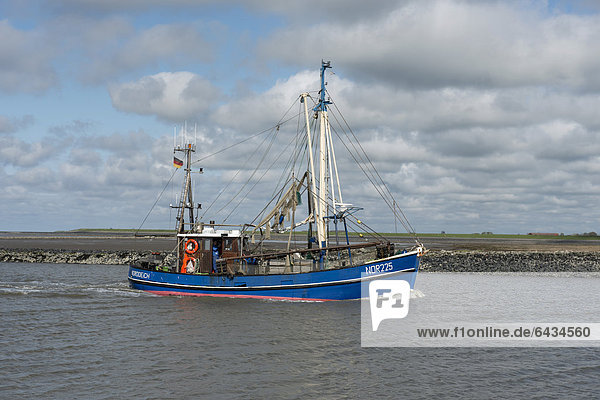 'Krabbenkutter ''Nordmeer''  NOR 225 in Fahrt  Niedersächsisches Wattenmeer  Norddeich  Norden  Ostfriesland  Niedersachsen  Deutschland  Europa'