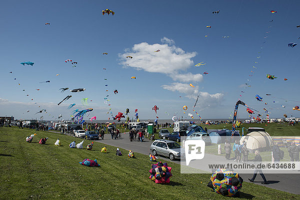 Internationales Drachenfestival Norddeich  Ostfriesland  Niedersachsen  Deutschland  Europa