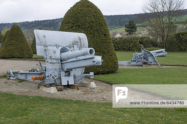 Kanonen auf einem Soldatenfriedhof  Schlacht bei Verdun  Erster Weltkrieg  Verdun  Lothringen  Frankreich  Europa