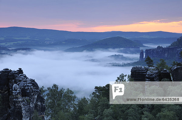 View of Nasser Grund with morning fog  Saxon Switzerland  Elbe Sandstone Mountains  Saxony  Germany  Europe