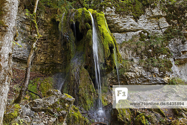 Kleiner Wasserfall mit Kalksinterablagerungen in der Wutachschlucht  beim ehemaligen Bad Boll  Bonndorf  Baden-Württemberg  Schwarzwald  Deutschland  Europa