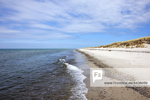 Naturschutzgebiet Europa bedecken Strand Sand Gras Düne Ostsee Baltisches Meer Darßer Ort Deutschland Mecklenburg-Vorpommern