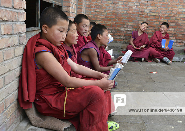 Young Tibetan novice monks in red robes reading religious texts  students at a Buddhist monastery  Tongren Monastery  Repkong  Qinghai  formerly Amdo  Tibet  China  Asia