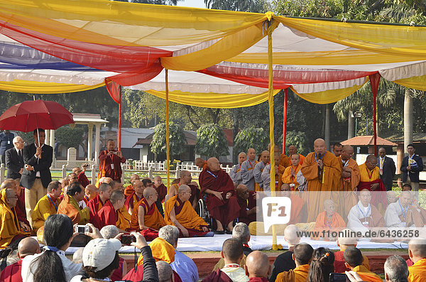 The Dalai Lama and other high dignitaries such as the Karmapa  Sogyal Rinpoche with Buddhist leaders from all over the world in a communal prayer  Global Buddhist Congregation 2011  at Gandhi Smitri  New Delhi  India  Asia