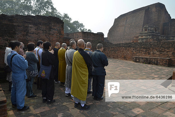 Japanese pilgrims praying at an archaeological site  important Buddhist pilgrimage destination  ruins of the ancient University of Nalanda  Ragir  Bihar  India  Asia