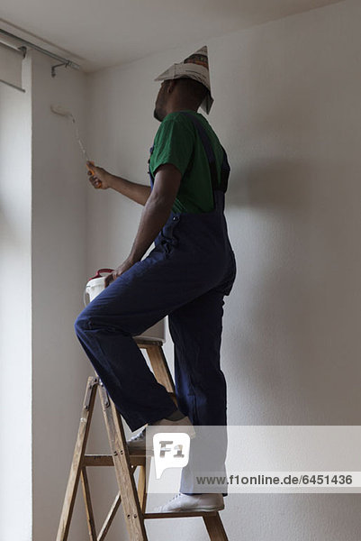 Ein Mann  der auf einer Leiter steht und eine Wand streicht.