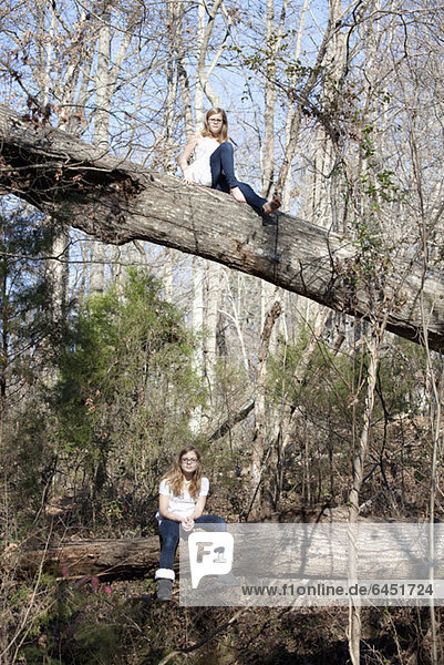 Two similar girls sitting on tree trunks in forest in Mooresville  North Carolina  USA