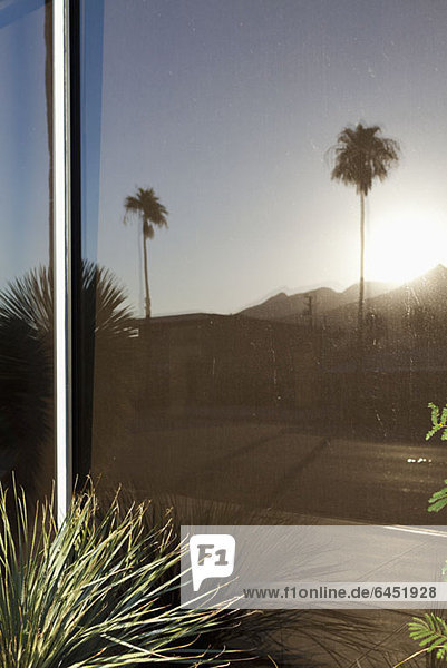 Reflection of mountains  palm trees and a house in a window