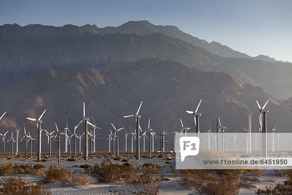 Windkraftanlagen in der Wüste