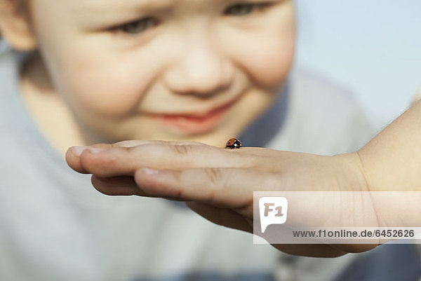 Ein Mädchen  das einen Marienkäfer auf der Hand einer Person betrachtet.