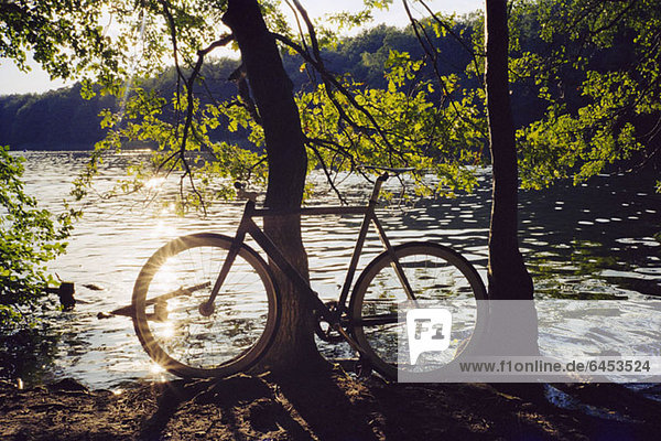 Fahrrad gegen Baum am Seeufer geparkt