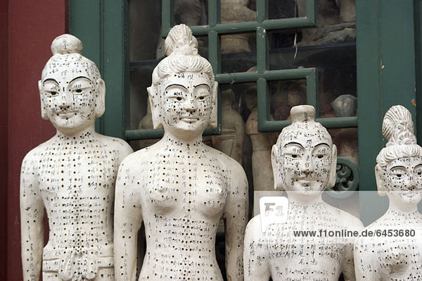 Akupunktur-Statuen auf dem Panjiayuan Antiquitätenmarkt  Peking  China