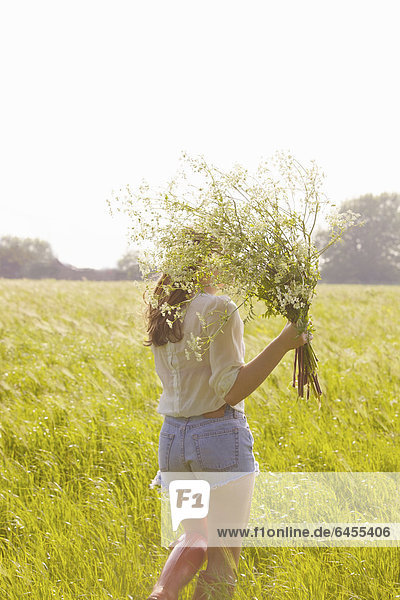 Frau ,Rückansicht ,Bündel ,halten ,Feld ,Wildblume ,Ansicht ,jung