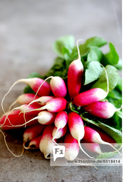 Mandatory Credit: Photo by Martin Lee / Rex Features ( 962250b ) Bunch of Fresh Radish Various - 2009