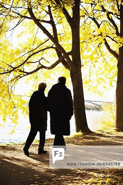 Rückansicht  Senior  Senioren  gehen  Baum  unterhalb  See  Herbst