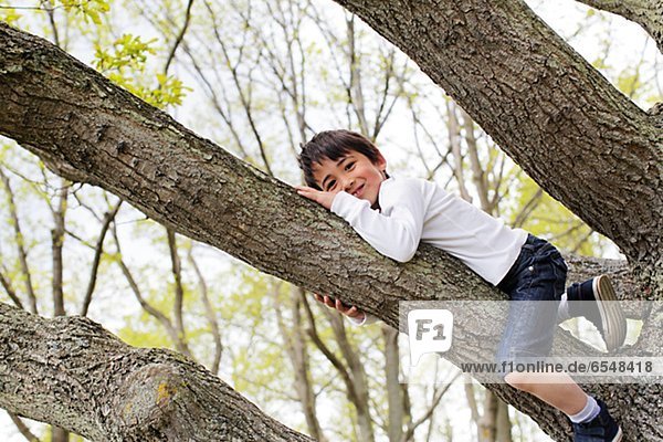 Portrait of boy playing in tree