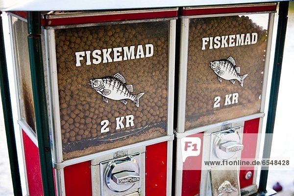 Fisch  Pisces  Lebensmittel  Maschine  kaufen