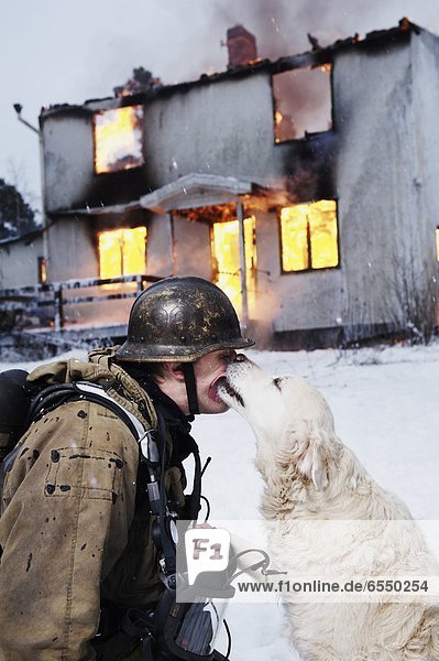 Feuerwehrmann Rettung verbrennen Wohnhaus Hund frontal