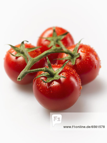 Nasse Tomaten auf weißem Hintergrund  Nahaufnahme