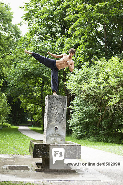 Young man doing martial arts in park