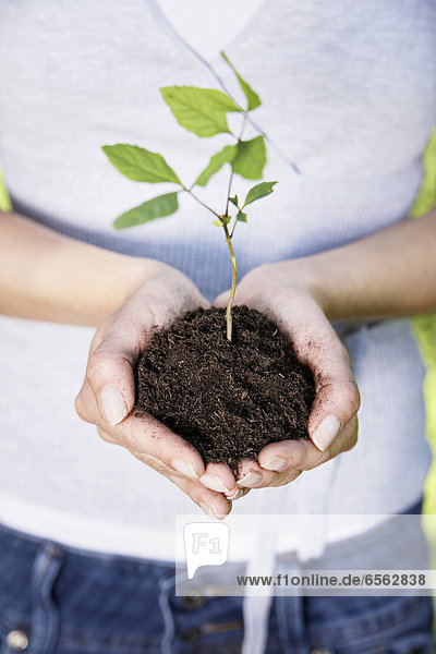 Young woman holding seedling  close up