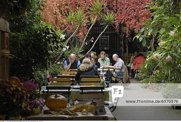 Ein Weingarten in der Theresienstrasse in Rhodt unter Rietburg SŸdliche Weinstrasse Pfalz *** Local Caption ***