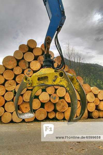 Picker arm of a digger for timber transport  sawmill  timber trade  logs  timber storage  construction timber  lumber  Vorarlberg  Austria  Europe