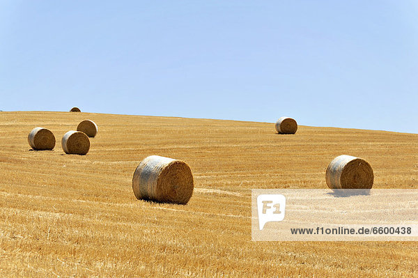 Strohballen auf abgeernteten Getreidefeldern  südlich von Pienza  Toskana  Italien  Europa  ÖffentlicherGrund