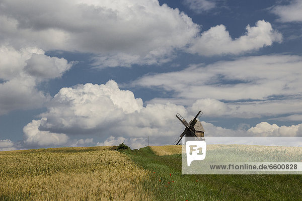 Landschaft mit Windmühle bei Klettbach  Thüringen  Deutschland  Europa
