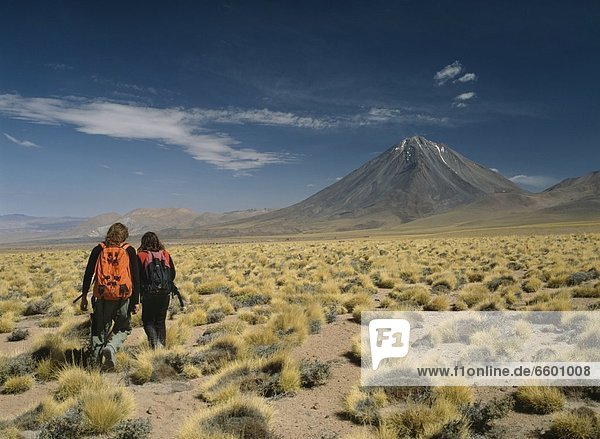 nahe  Gehhilfe  sehen  Vulkan  Wiese  Anden  Atacama