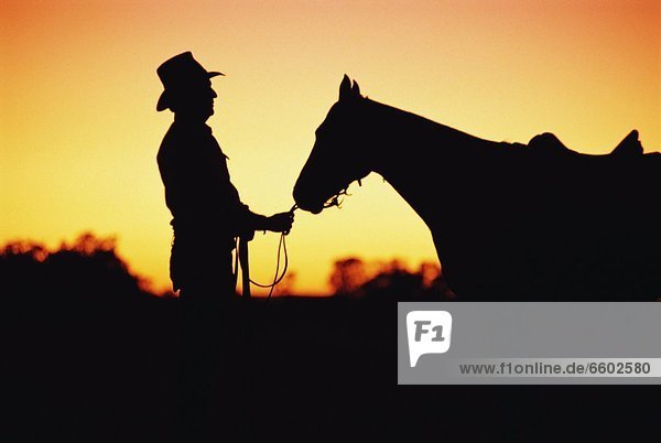 Silhouetted Cowboy And Horse  Australia