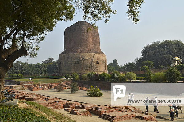 Historische Pilgerstätte des Buddhismus  Dhamekh Stupa  Wildpark von Isipatana  Sarnath  Uttar Pradesh  Indien  Südasien  Asien