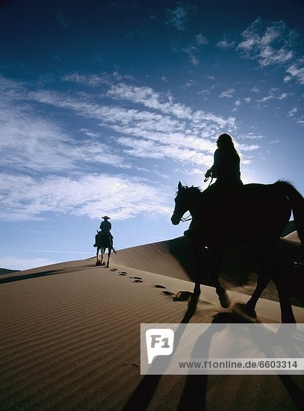 Silhouette  fahren  Sand  reiten - Pferd  Düne