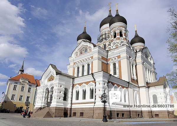 Alexander-Newski-Kathedrale  Tallinn  Estland  Nordeuropa