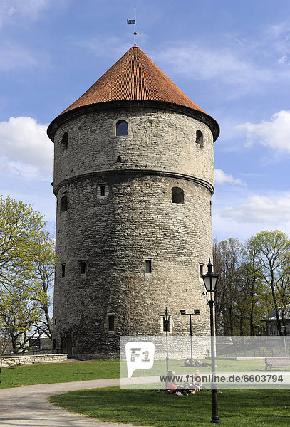 '''Kiek-in-de-Koek'' cannon tower  Tallinn  Estonia  Northern Europe  Europe'