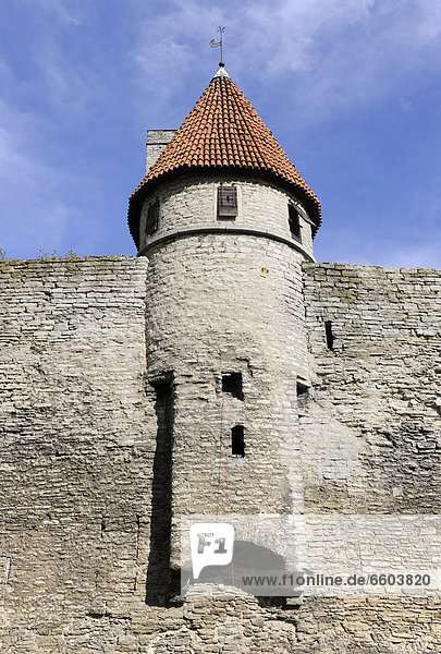 Tallinn  Hauptstadt  Europa  Wand  Großstadt  Turm  groß  großes  großer  große  großen  Estland  Nordeuropa