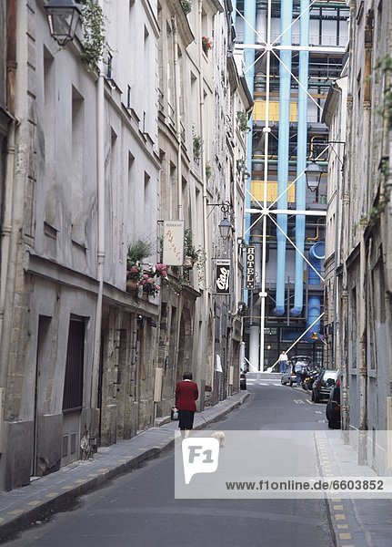 nebeneinander  neben  Seite an Seite  Frau  gehen  Straße  Hund  Centre Pompidou