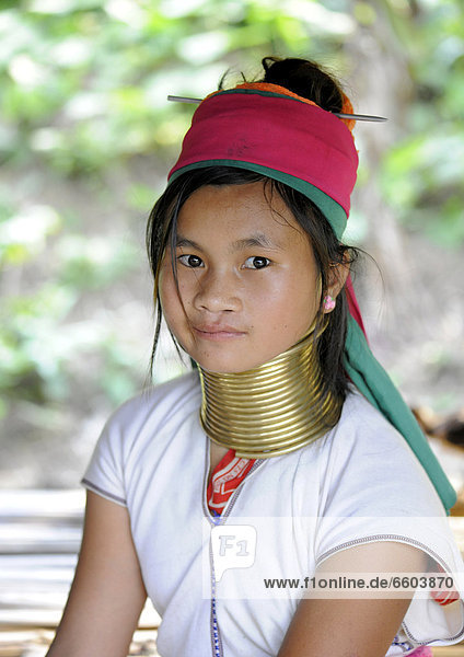 Langhals-Mädchen mit Messing-Halsringen  Chiang Rai  Thailand  Asien