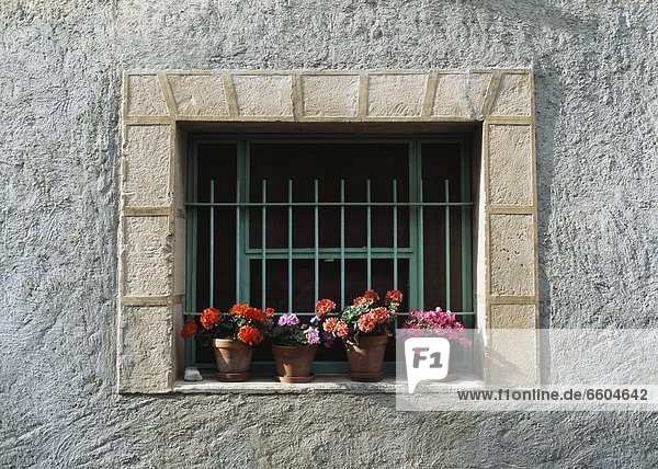 Detail Details Ausschnitt Ausschnitte Frankreich Fenster Blume Provence - Alpes-Cote d Azur