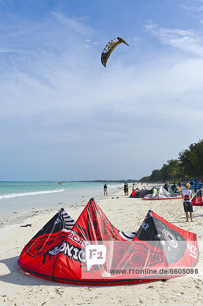 Kite surfers preparing their kites on the beach of Paje  Zanzibar  Tanzania  Africa