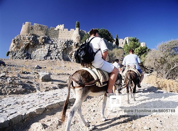 dick  Esel  Weg  Tourist  Menschlicher Rücken  Menschliche Rücken  Akropolis  Lindos