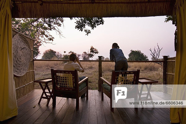 Zimmer  Morgendämmerung  Lodge  Landhaus  Safari  hinaussehen