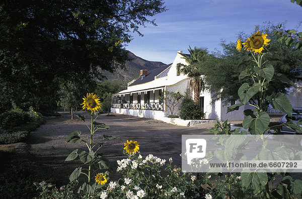 Dennehof Guest House  Prince Albert  Karoo  South Africa © Richard Crawford / Axiom